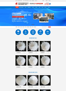 新華發(fā)粉體廠-營銷型網(wǎng)站建設(shè)案例